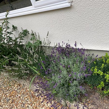 Woodland House B & B Wimborne Minster Esterno foto
