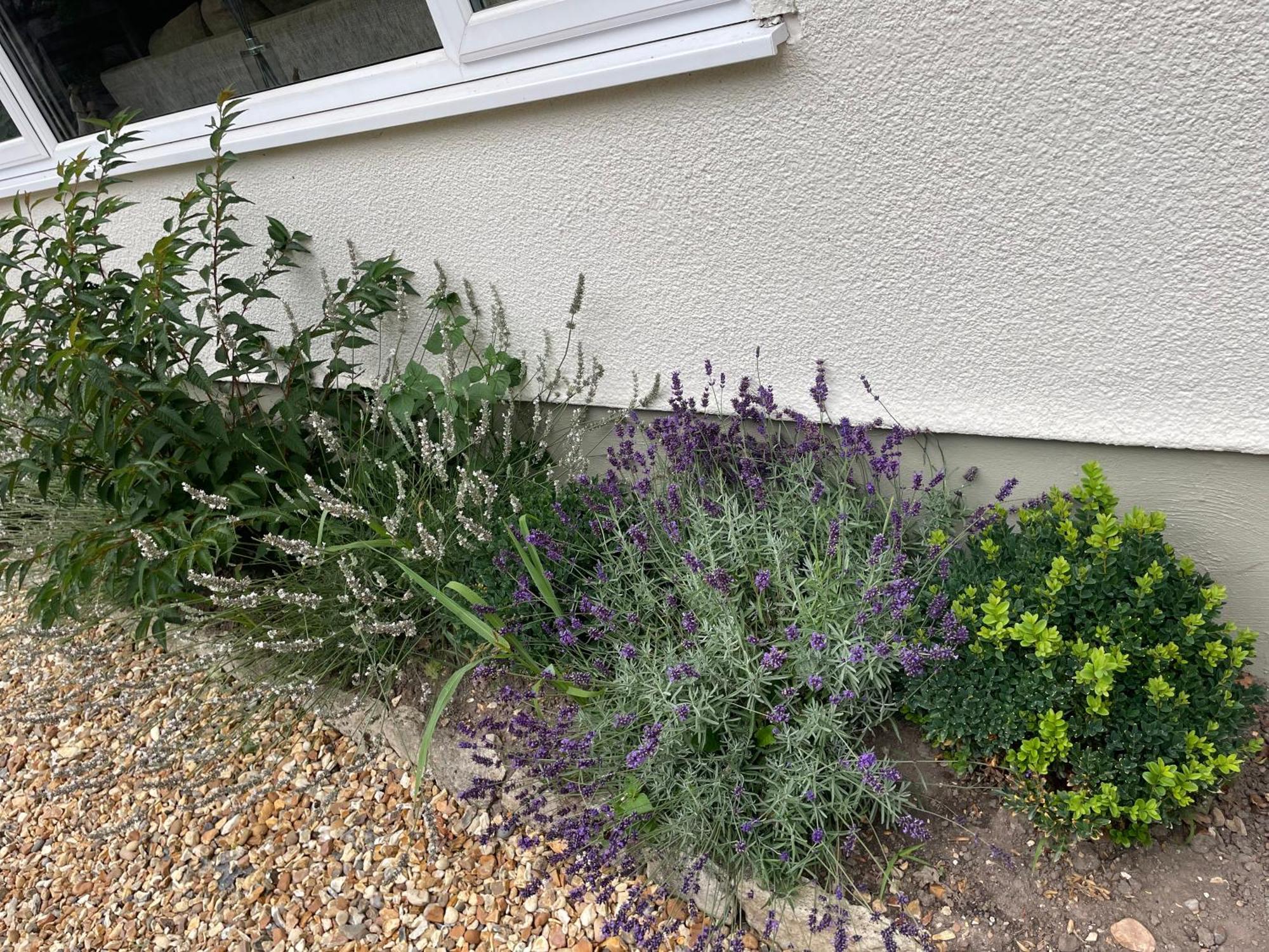 Woodland House B & B Wimborne Minster Esterno foto