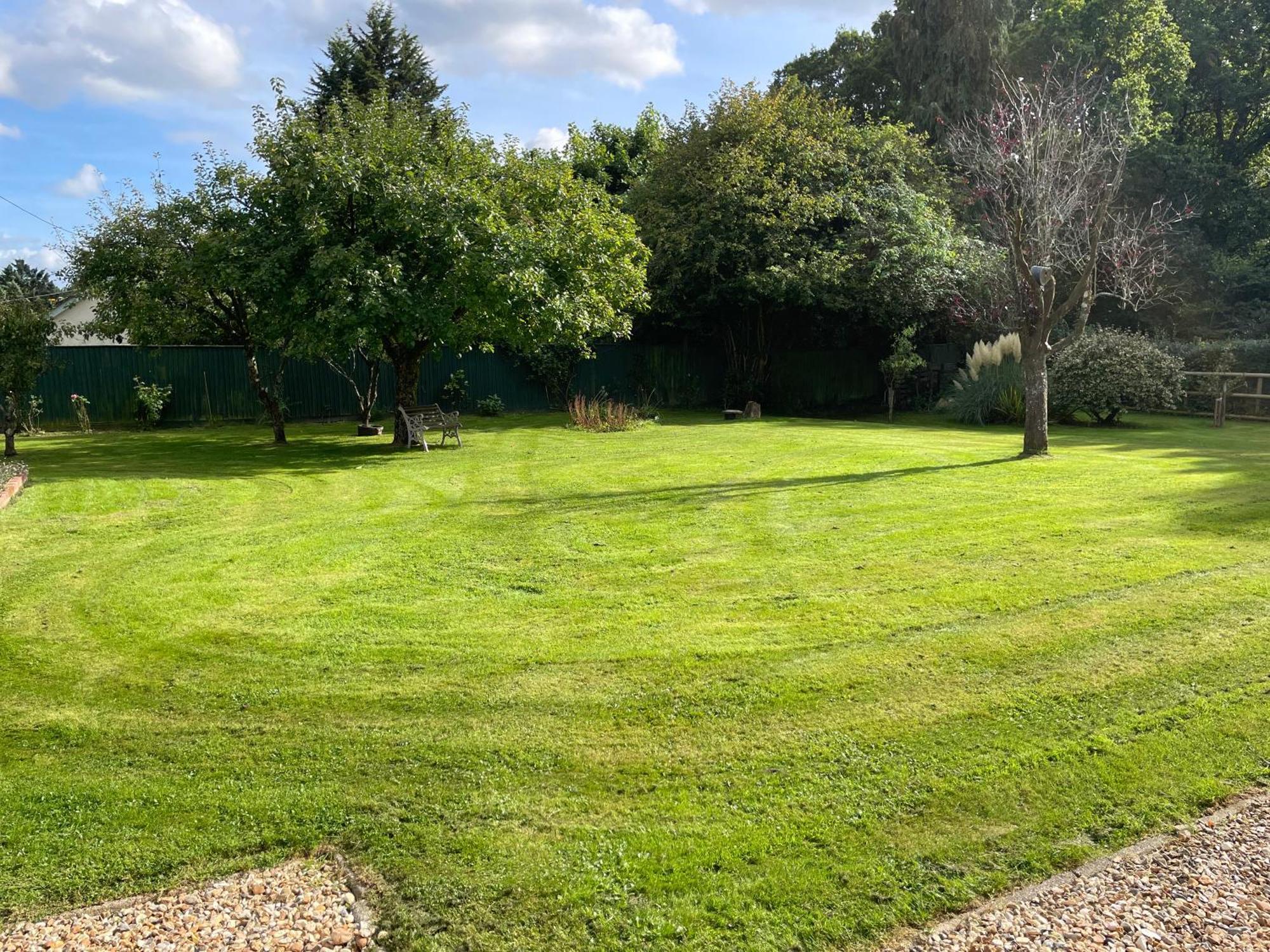 Woodland House B & B Wimborne Minster Esterno foto